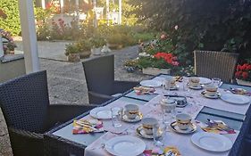 Homestay Svata